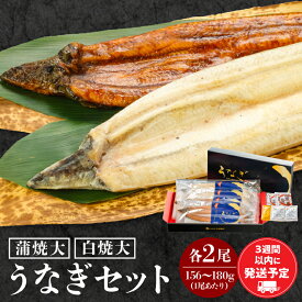 【ふるさと納税】白焼大 蒲焼大 各2尾 セット 国産ウナギ 国産 詰め合わせ 食べ比べ うなぎ 鰻の蒲焼き 蒲焼き 白焼き 大サイズ サイズ おかず 惣菜 ギフト 贈り物 グルメ 化粧箱 化粧箱入り たれ 塩 簡単調理 お取り寄せ 急速冷凍 冷凍 宮崎県 宮崎市 送料無料