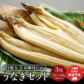 【ふるさと納税】うなぎ白焼3尾 セット うなぎ 白焼き 大サイズ うなぎセット うなぎの白焼き 詰め合わせ 山椒 たれ 蒸し焼き 惣菜 お惣菜 贈答 贈り物 ギフト プレゼント ご褒美 手土産 お祝い 内祝い 土用丑の日 丑の日 冷凍 グルメ お取り寄せ 冬うなぎ 宮崎県 宮崎市