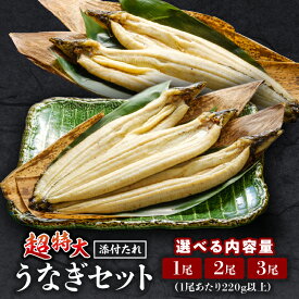 【ふるさと納税】【選べる内容量・発送月】うなぎ白焼(超特大サイズ) セット 鰻 うなぎの白焼き 超特大サイズ たれ 惣菜 贈答 贈り物 ギフト プレゼント ご褒美 手土産 お祝い 内祝い 土用丑の日 丑の日 冷凍 グルメ お取り寄せ お取り寄せグルメ おすすめ 冬うなぎ 宮崎市