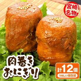 【ふるさと納税】宮崎県産肉巻きおにぎり12個セット 肉巻きおにぎり おにぎり 肉巻き 豚肉 肉 宮崎名物 名物 B級グルメ ご当地グルメ ソウルフード フード 惣菜 お惣菜 おかず お弁当 パック 小分け 真空パック グルメ 人気 おすすめ 宮崎県産 宮崎県 宮崎市 送料無料
