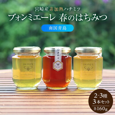 宮崎産非加熱ハチミツ2～3種 ブォンミエーレ春のハチミツ160g×3本セット
