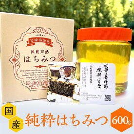 【ふるさと納税】数量限定 国産ハチミツ (600g×1本) 宮崎県産純粋ハチミツ | はちみつ 蜂蜜 ハニー お取り寄せ 国産 純粋はちみつ 純粋ハチミツ 九州 お土産 宮崎土産 |