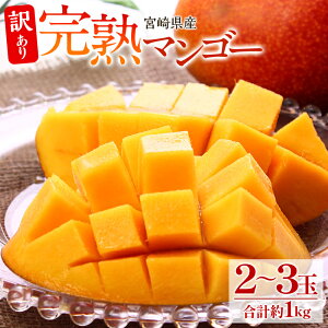 yӂ邳Ɣ[Łzs2026N s\tyʁEԌzy󂠂z n}S[ v1kg (2`3) }S[ n 󂠂i o s F  KiO ƒp ƒp p 