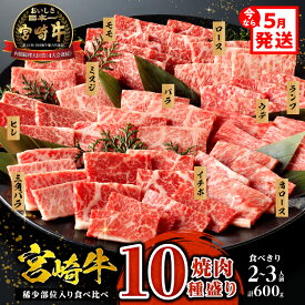 【ふるさと納税】《発送月が選べる！》《レビューキャンペーン》 宮崎牛 焼肉 10種 盛り合わせ 食べ比べ モモ ウデ ロース 肩ロース バラ ミスジ ランプ イチボ お肉 ヒレ 国産牛 黒毛和牛 国産 牛肉 肉 宮崎 BBQ 料理 セット 宮崎県産 人気 おすすめ 宮崎県 宮崎市 送料無料