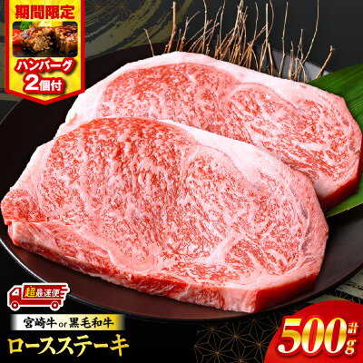 ロースステーキ 250g×2枚 合計500g+ハンバーグ2個付