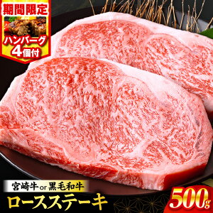 yӂ邳Ɣ[Łzs9/30܂ŁIty{Y_ƉKi!!z1 {苍orјa[XXe[L250g×2Eno[O Ԍ  {苍 A4 јa     [XXe[L Xe