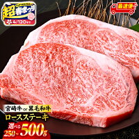 【ふるさと納税】【超！春まつり 生活応援・大感謝規格】【内容量・発送時期が...