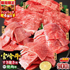 yӂ邳Ɣ[Łzs9/30܂ŁIty{Y_ƉKi!!z~`N {苍 ēorXCX3ZbgEYno[O×4 Ԍ  uyprEIׂz  Ԑg 