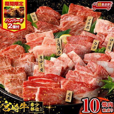 宮崎牛焼肉10種盛り合わせ+ハンバーグ2個付