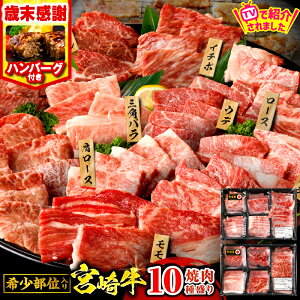 yӂ邳Ɣ[ŁzTBSernuЂ邨сvŏЉIyΖӁzyIׂEցz{Y_ƉI{苍ē10퐷荇킹 {苍 Y A4 ē 10 Hה Zbg ē