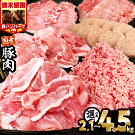 【ふるさと納税】総合1位 【歳末感謝】【内容量・発送時期が選べる】大満足豚肉ロースバラエティセット 4.5kg 2.1kg 国産豚 豚肉 肉 お肉 精肉 豚 国産 訳あり 不揃い 切り落とし ロース ミンチ ハンバーグ 小分け パック ストック 詰め合わせ 人気 ふるさと おすすめ 宮崎