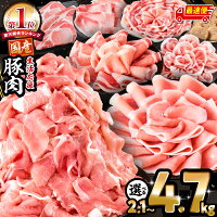 宮崎県産豚ロース・豚肩ロースが含まれた豚肉バラエティセット 精肉 豚肉セッ...