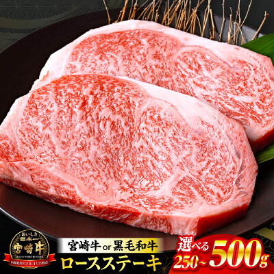 【ふるさと納税】総合1位!!【数量限定】【内容量・発送時期が選べる】畜産農家...