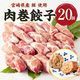 【ふるさと納税】宮崎県産 ミヤチク 豚 使用 肉巻 餃子 20個入り 豚肉 お肉 食品 宮崎ブランド ポーク 肩ロース トンコツスープ 新感覚 お弁当 おかず 晩酌 名物 ひとくちサイズ 宮崎県 宮崎市 送料無料 お肉