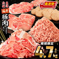 【ふるさと納税】総合ランキング1位獲得 ロース たっぷり大満足 豚肉 バラ...