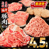 宮崎県産の豚ロースが含まれた総重量4.5kg豚肉バラエティセット ミヤチク...