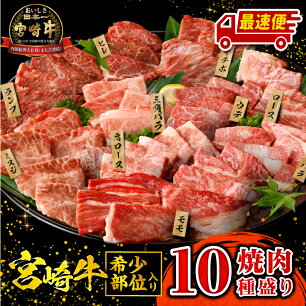 【ふるさと納税】高評価★4.65《発送時期が選べる》宮崎牛焼肉10種盛り合わ...