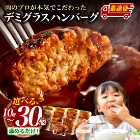 【ふるさと納税】《2週間以内発送!!》 デミグラスハンバーグ 10～30個 鉄板焼 国産 牛肉 豚肉 合挽き 牛 豚 肉 ハンバーグ 小分け 個包装 簡単調理 レトルト デミハン 湯煎 ボイル 惣菜 おかず 温めるだけ 人気 冷凍 グルメ おすすめ 《レビューキャンペーン》 宮崎県 宮崎市