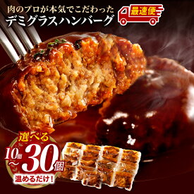 【ふるさと納税】《2週間以内発送!!》 デミグラスハンバーグ 10～30個 鉄板焼 国産 牛肉 豚肉 合挽き 牛 豚 肉 ハンバーグ 小分け 個包装 簡単調理 レトルト デミハン 湯煎 ボイル 惣菜 おかず 温めるだけ 人気 冷凍 グルメ おすすめ 《レビューキャンペーン》 宮崎県 宮崎市