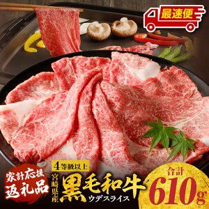 yӂ邳Ɣ[ŁzsIׂt {茧Y јa  Ef XCX 610g  Ef Ef Ef  Ԑg Ԑg a Y wV[ Ă ē Y ؂  Y
