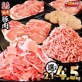 【ふるさと納税】高評価★4.76 総合ランキング1位【内容量・発送時期が選べる】大満足 豚肉 ロース バラエティセット 4.5kg 2.1kg 豚ロース 切り落とし 豚ミンチ 肉 豚 お肉 国産 人気 ハンバーグ 訳あり 小分け 国産豚 おすすめ セット 詰め合わせ《レビューキャンペーン》