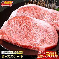 国産牛 宮崎牛 4等級以上 ブランド牛 真空パック 便利 鉄板焼き 高級 ...