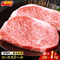 国産牛 宮崎牛 4等級以上 ブランド牛 真空パック 便利 鉄板焼き 高級 ...