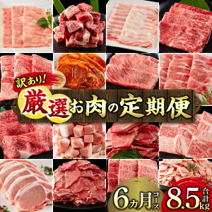 yӂ邳Ɣ[Łzy󂠂zsցt{茧YјaE{茧Yؓ 6R[X ~`N 󂠂 Zbg Hה lߍ킹 [X Ef Ԑ؂  јa  a  
