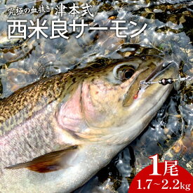 【ふるさと納税】 《津本式》西米良サーモン1尾　～津本光弘本人仕立て～(1尾1.7～2.2kg) 厳選 ドナルドソントラウト イワナ 刺身 カルパッチョ マリネ 塩焼き 香草焼き ホイル焼き 魚貝 魚介類 水産加工異物 水産物 西京焼き 熟成 魚介 お土産 宮崎県 宮崎市 送料無料