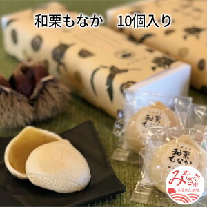 yӂ邳Ɣ[ŁzaIȂ 10 Œ  IQ aIy[Xg  aIQ  L Œ v َq aَq yY Mtg Oj[ {茧 {s 