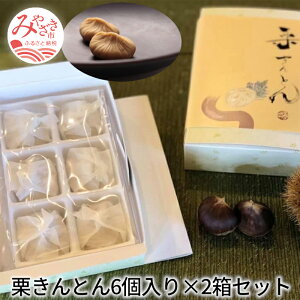 yӂ邳Ɣ[ŁzIƂ6×2Zbg I Vv H aَq  ō cR 䑡 v َq X yY Mtg IQ Ⓚ {茧 {s 