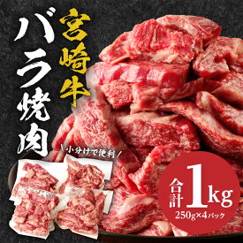 【ふるさと納税】宮崎牛バラ焼肉 合計1kg 牛肉 肉 お肉 バラ肉 バラ 牛バラ 宮崎県産 国産 和牛 黒毛和牛 黒毛和種 国産牛 国産黒毛和牛 ブランド牛 焼肉 BBQ アウトドア グランピング 食品 精肉 畜産 畜産物 炒め物 アレンジ グルメ お取り寄せ おすすめ 宮崎市 送料無料