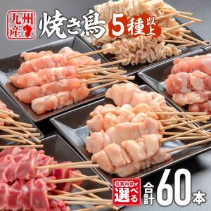 yӂ邳Ɣ[ŁzyeEIׂzBY{̏ĂZbgi60{j荇킹 {   { Ă Ă Ă lߍ킹 ĂZbg  pbN BBQ 