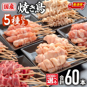 【ふるさと納税】バラ凍結が便利！【包装内容・発送時期が選べる・定期便】若鶏の...