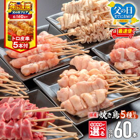 【ふるさと納税】【父の日までにお届け】【年に1度の父の日フェア】【包装内容・発送時期が選べる】若鶏の焼き鳥セット(60本)盛り合わせ・トロ皮串5本付き 国産 もも せせり 皮 ぼんじり 砂肝 カタ 鶏肉 肉 お肉 鶏 若鶏 焼き鳥 セット 小分け パック 焼き鳥セット ふるさと