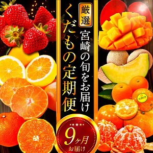 【ふるさと納税】青果店厳選!「くだもの定期便Vol.2」(全9回) 定期便 果物 フルーツ 青果 青果物 果物定期便 フルーツ定期便 旬の果物 季節の果物 旬 季節 いちご きんかん 日向夏 マンゴー