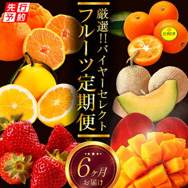 【ふるさと納税】《2026年発送先行予約》【数量・期間限定】贈答用にもオススメ!バイヤー厳選!「厳選フルーツ定期便」(全6回) 果物 フルーツ 定期便 果物定期便 フルーツ定期便 旬の果物 季節の果物 旬 季節 贈り物 贈答 ギフト おすすめ 人気 宮崎県 宮崎市 送料無料
