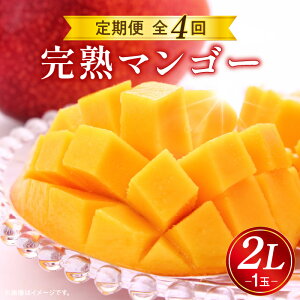 yӂ邳Ɣ[Łzs2026N s\tyʁEԌzn}S[2L×1ʒ S4   ʕ t[c  }S[ n}S[ t[c { {̉ʕ