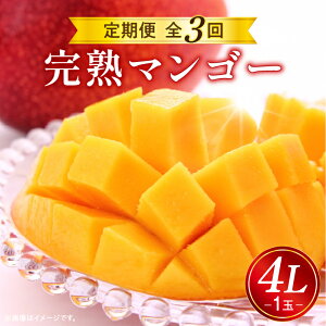 yӂ邳Ɣ[Łzs2026N s\tyʁEԌz n}S[ 4L 1  S3 n }S[ ʕ t[c { {̉ʕ XC[c fU[g ʕ 蕨 Mtg v[