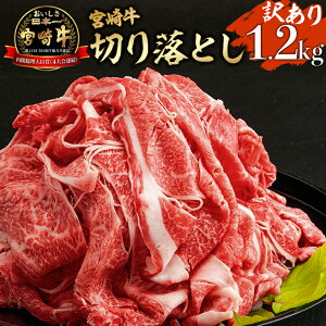 yӂ邳Ɣ[Łzy󂠂z{苍 ܐ؂ v1.2kg(400g×3pbN)  a Hi  Ԑg W[V[ Â v~A ` Jbg 傫 s {茧 {s 