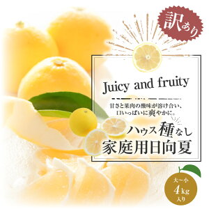 yӂ邳Ɣ[Łzs2026N s\tyʁEԌzy󂠂znEX햳 ƒp(`4kg) | ݂ 󂠂݂  k 햳 t[c 󂠂 A Hi ʕ 