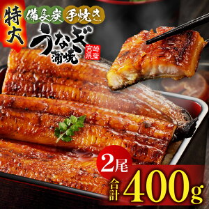 yӂ邳Ɣ[Łz y{茧Yz傤Ȃ Y Ă  2 400g 傤Ȃ Ȃ̊ V Y  R {肤Ȃ y a  蕨 Mtg v[g O 