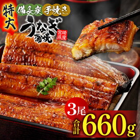 【ふるさと納税】 【宮崎県産】特大 うなぎ 備長炭 手焼き 蒲焼 3尾 660g うなぎの蒲焼 鰻蒲焼 国産 たれ 山椒 宮崎うなぎ 惣菜 和風総菜 贈答 贈り物 ギフト プレゼント グルメ イベント 記念日 お取り寄せ 冷凍 真空パック パック 丑の日 冬うなぎ 宮崎県 宮崎市 送料無料