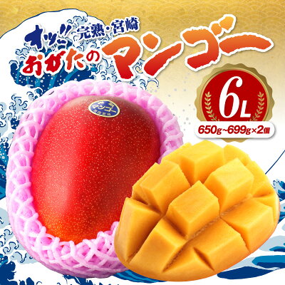 おがたのマンゴー 完熟宮崎マンゴー 6Lサイズ(650g～699g)×2個セ...