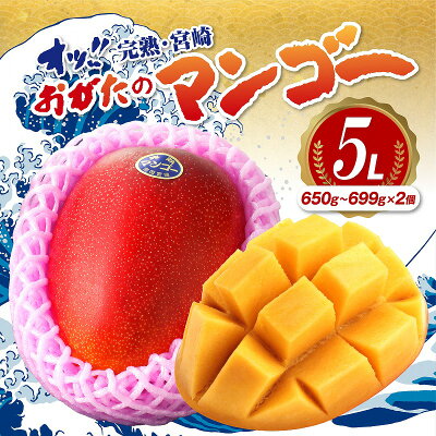 おがたのマンゴー 完熟宮崎マンゴー 5Lサイズ (650g〜699g)×2個...
