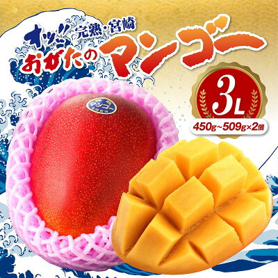 おがたのマンゴー 完熟宮崎マンゴー 900g以上保証 3Lサイズ(450〜5...