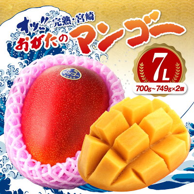 おがたのマンゴー 完熟宮崎マンゴー 7Lサイズ(700g～749g)×2個セ...