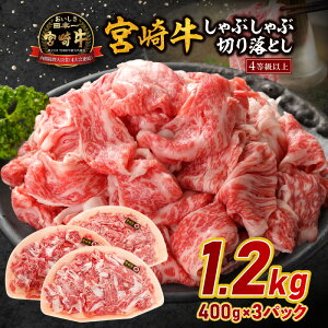 yӂ邳Ɣ[Łz{苍ԂԐ؂藎Ƃ 1.2kg {苍    Ԃ  Ă Ă ؂藎Ƃ ؂ XCX Ԑg Ԑg  pbN g 