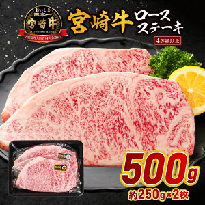 yӂ邳Ɣ[Łz{苍[XXe[L 500g {苍 a    Xe[L Xe[L [X [XXe[L ē BBQ AEghA Lv OsO LO fBi[  蕨 