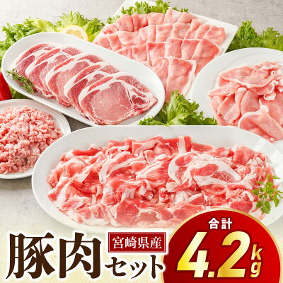 宮崎県産豚肉セット
